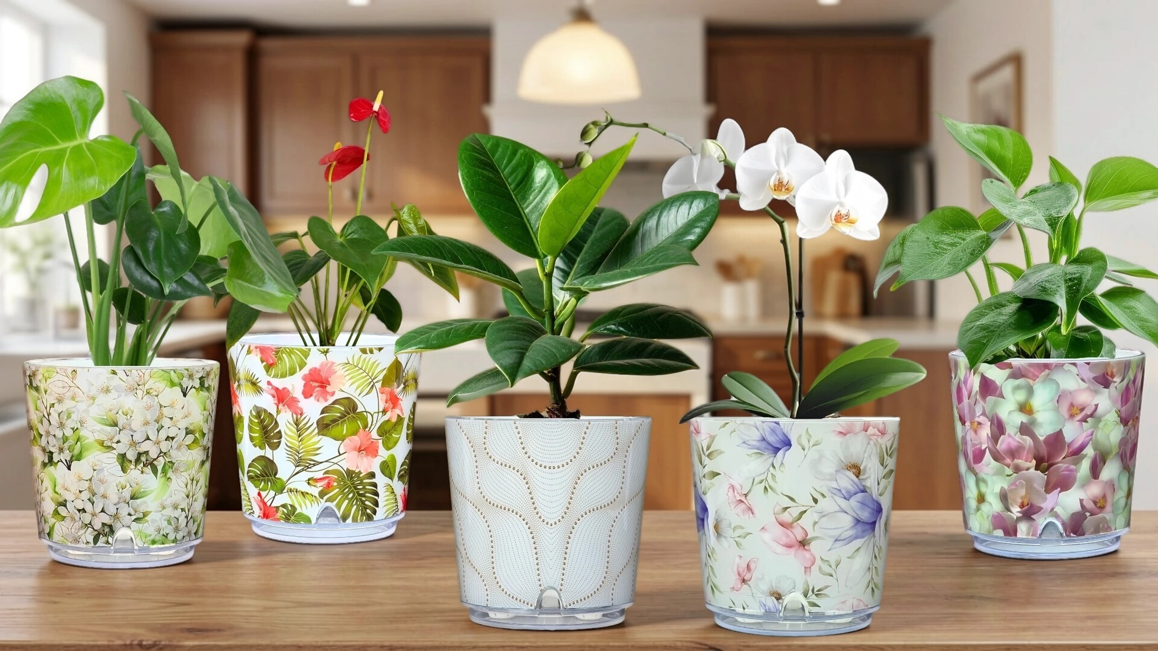 The Most Common Houseplant Mistake — And How a Reservoir Fixes It
