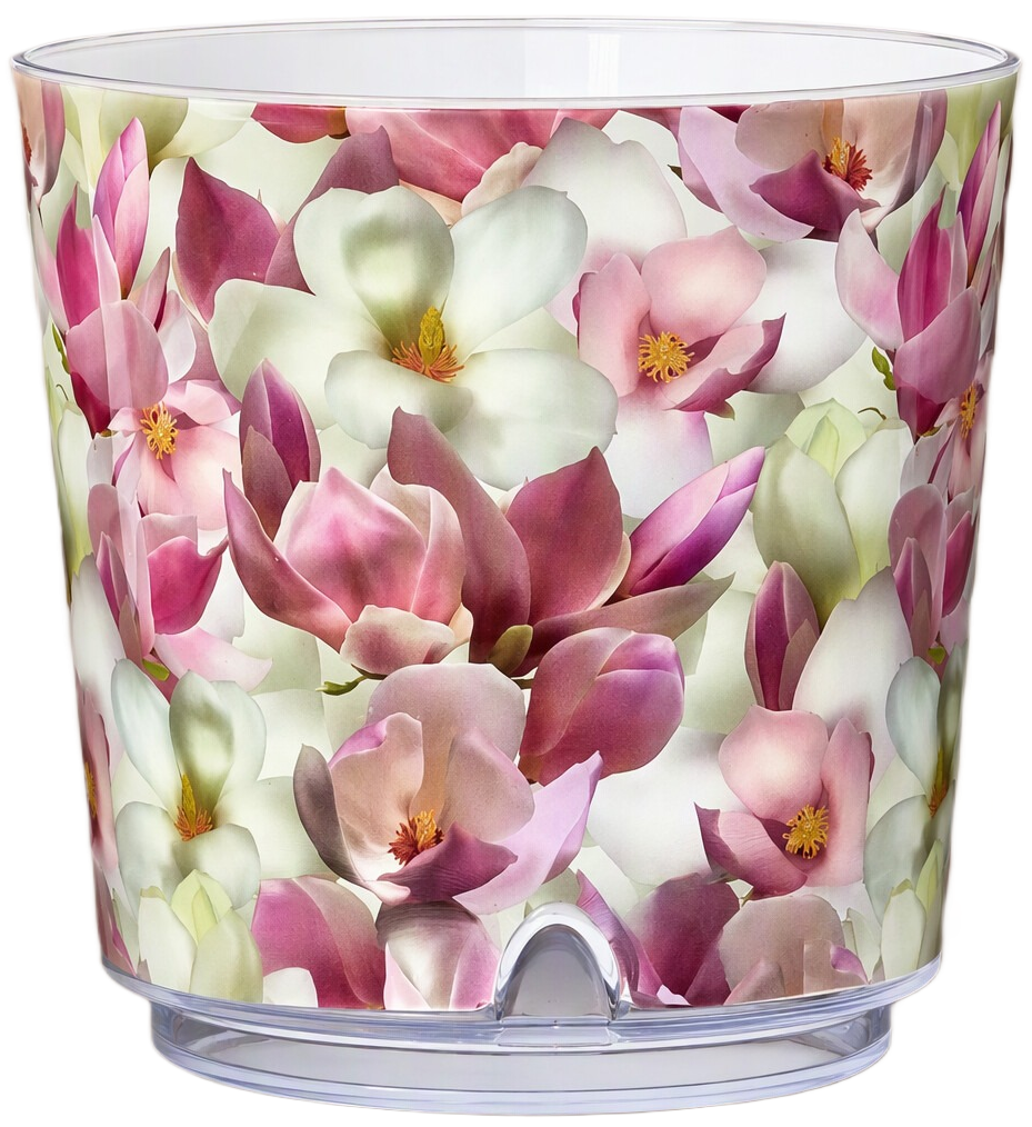 Magnolia